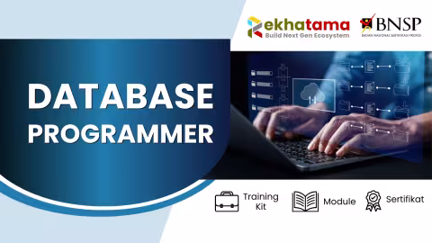 Database-Programmer